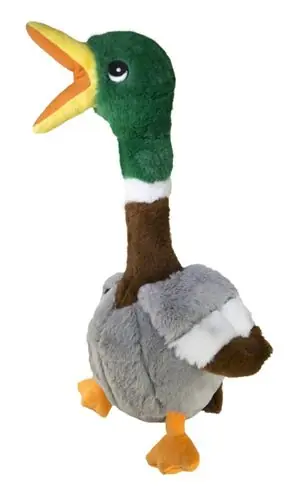 Koop Online Kong Shakers Honkers eend