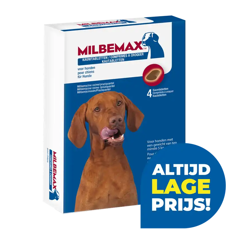 Milbemax kauwtablet hond > 5 kg 4 st Direct Verzonden