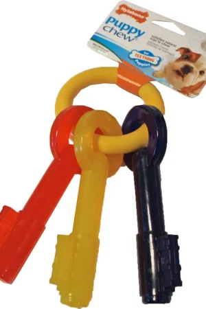 NylaBone Puppy Chew Teething Key M Speciale Aanbieding