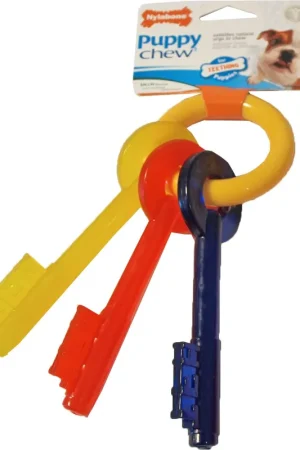 Shop Nu NylaBone Puppy Chew Teething Key S
