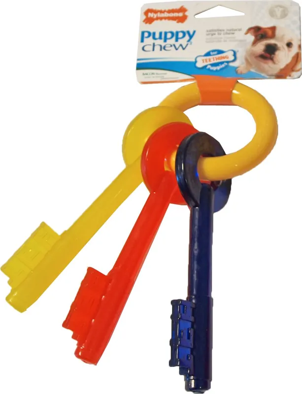 Shop Nu NylaBone Puppy Chew Teething Key S