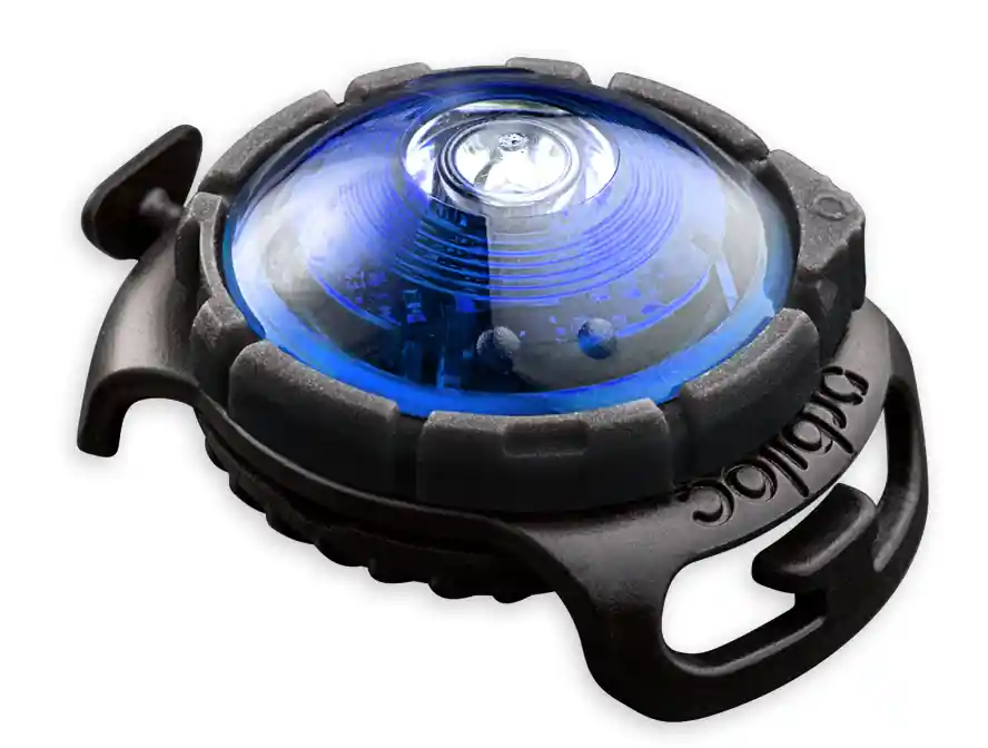 Orbiloc Safety Light Dog Dual blauw Voordeelprijs