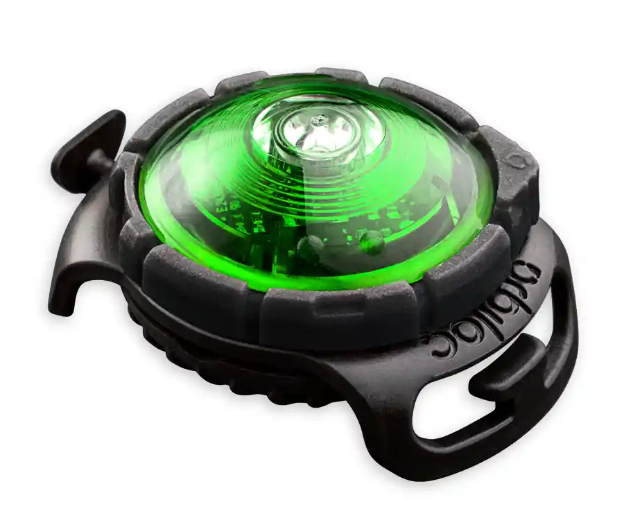 Orbiloc Safety Light Dog Dual groen Laatste Versie