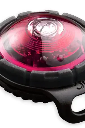 Orbiloc Safety Light Dog Dual roze Shop Nu