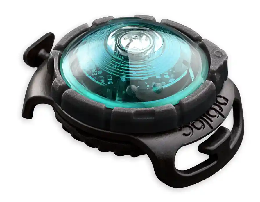 Beperkte Voorraad Orbiloc Safety Light Dog Dual turquoise