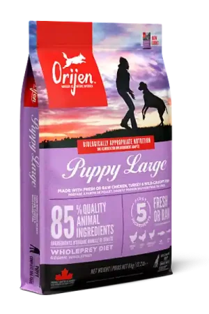 Favoriet Orijen hondenvoer Puppy Large Breed 6 kg