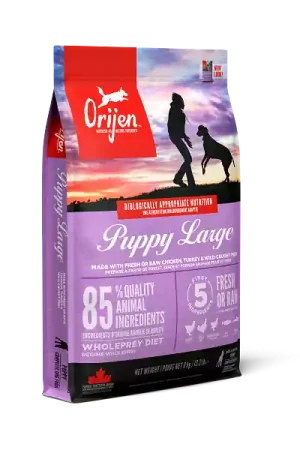 Snelle Levering Orijen hondenvoer Puppy Large Breed 11,4 kg