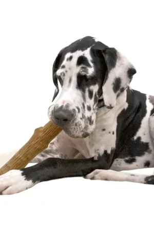 Snelle Levering Petstages Durable Stick Large