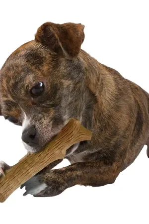 Nieuw Petstages Durable Stick Petite