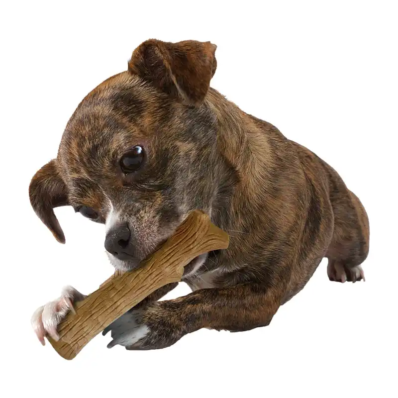 Nieuw Petstages Durable Stick Petite