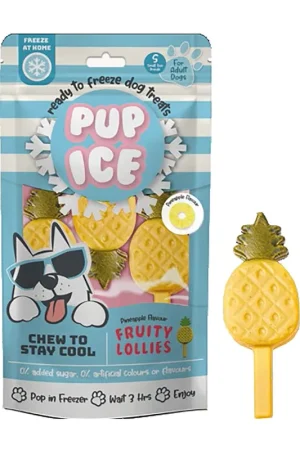 Laatste Kans Pup Ice Hondenijsje Fruitlollie Ananas 3 st