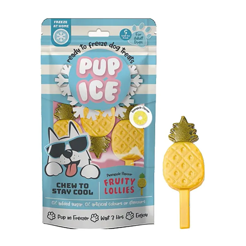 Laatste Kans Pup Ice Hondenijsje Fruitlollie Ananas 3 st