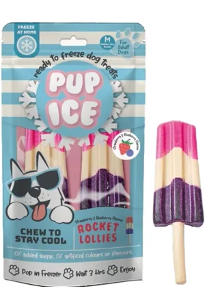Pup Ice Hondenijsje Raket Aardbei & Bosbes 2 st Laatste Versie