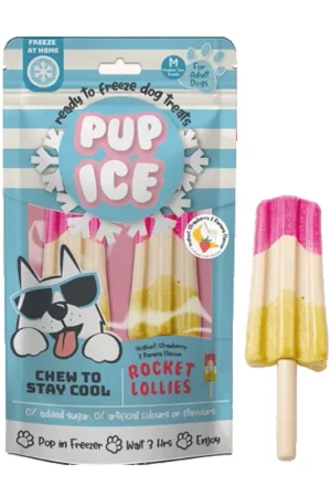 Finale Uitverkoop Pup Ice Hondenijsje Raket Yoghurt, Aardbei & Banaan 2 st