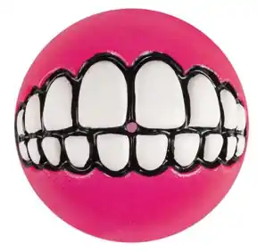 Flitsaanbieding Rogz Grinz bal pink