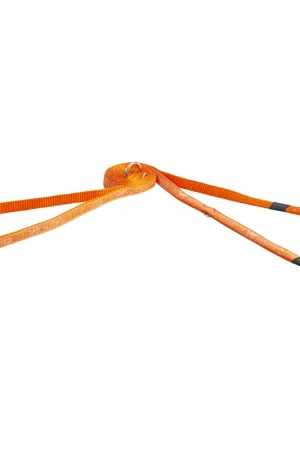 Rogz Hondenlijn Multi Fancy Dress Orange Doodle Goedkoop