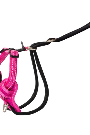 Finale Uitverkoop Rogz Hondentuig Utility Stop Pull Roze
