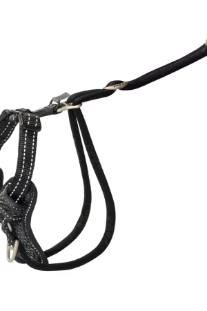 Rogz Hondentuig Utility Stop Pull Zwart Seizoensaanbieding