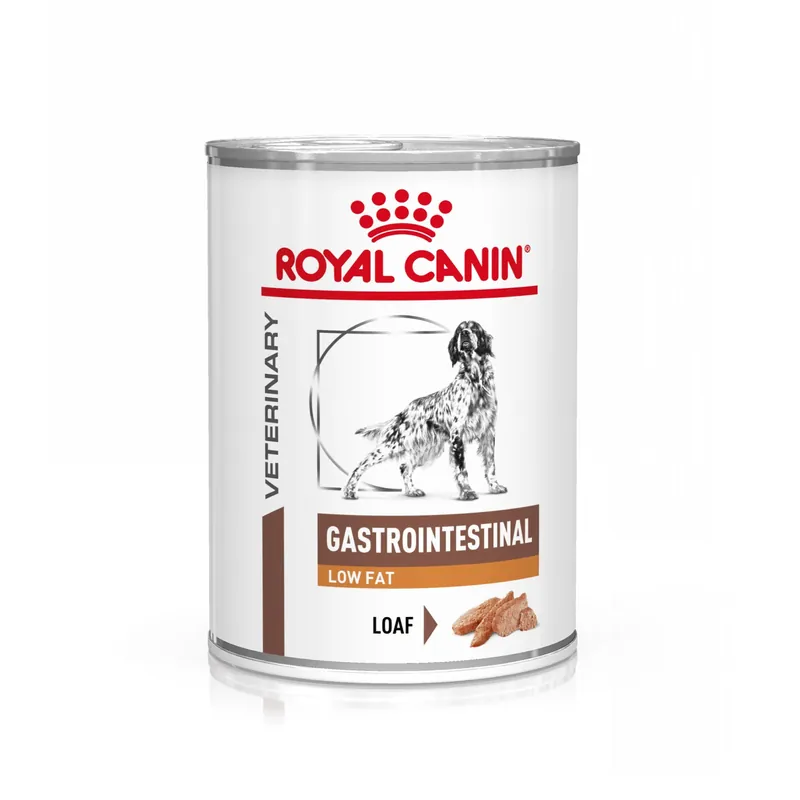 Express Levering Royal Canin Gastrointestinal Low Fat 420 gr