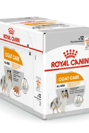 Nu Kopen Royal Canin Hondenvoer Coat Care 12 x 85 gr