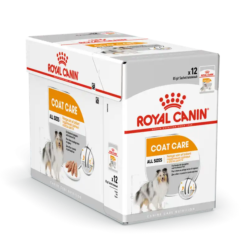 Nu Kopen Royal Canin Hondenvoer Coat Care 12 x 85 gr