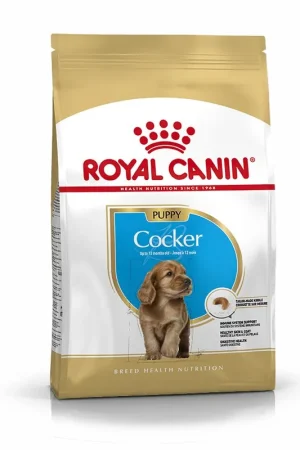 Hete Deal Royal Canin Hondenvoer Cocker Puppy 3 kg