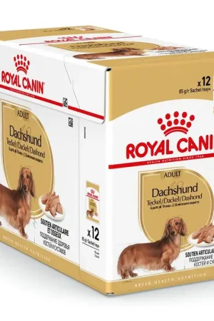 Fabrieksprijs Royal Canin Hondenvoer Dachs-hund Adult 12 x 85 gr