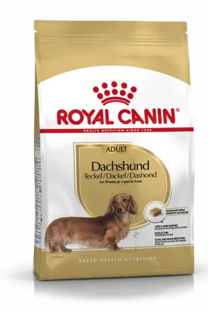 Bestel Nu Royal Canin Hondenvoer Dachshund Adult 1,5 kg