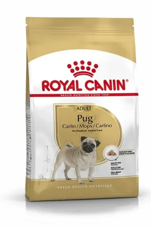 Direct Verzonden Royal Canin Hondenvoer Pug Adult 3 kg