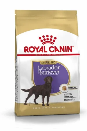 Finale Uitverkoop Royal Canin Hondenvoer Labrador Sterilised Adult 3 kg
