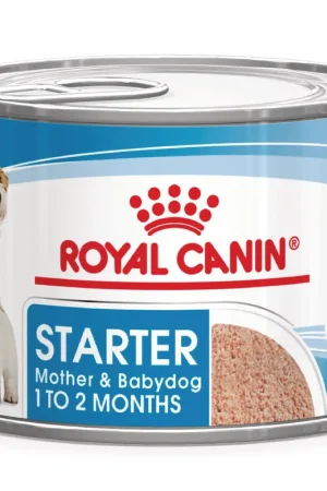 Goedkoop Royal Canin Hondenvoer Starter Mousse 195 gr