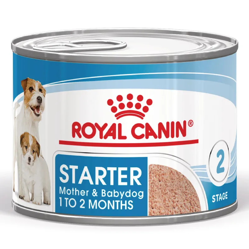 Goedkoop Royal Canin Hondenvoer Starter Mousse 195 gr