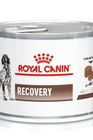 Royal Canin Recovery kat en hond 195 gr Hete Deal