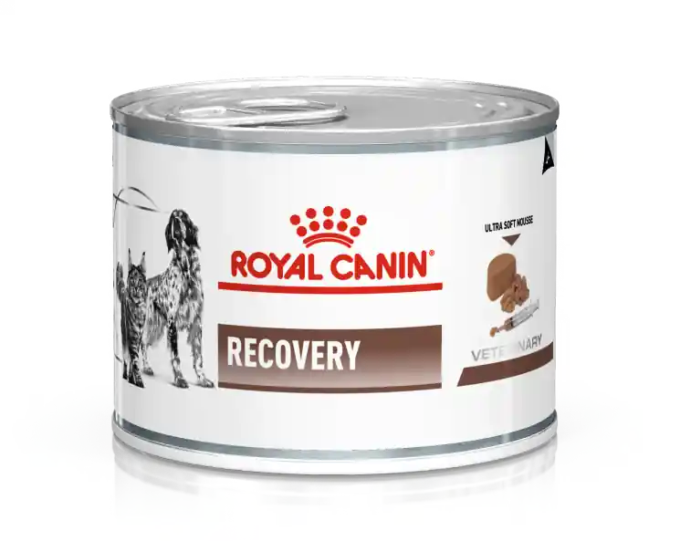 Royal Canin Recovery kat en hond 195 gr Hete Deal