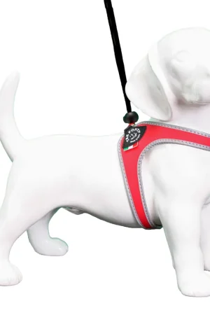 Koop Vandaag Tre Ponti hondentuig Liberta Reflective rood