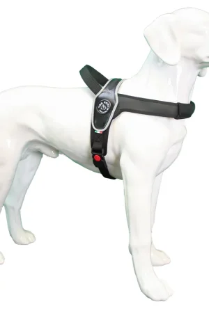 Express Levering Tre Ponti hondentuig Primo Reflective zwart