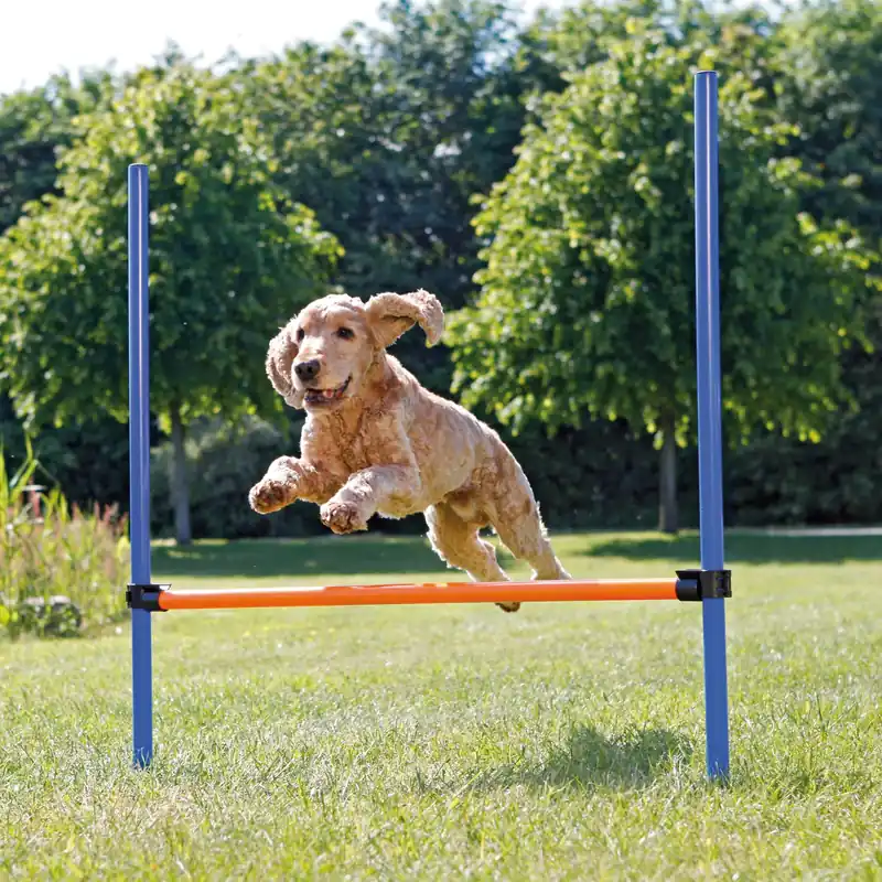 TRIXIE Dog Activity Agility Horde Korting