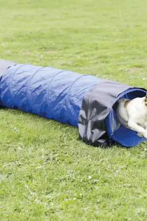 Bestel Nu TRIXIE Dog Activity Agility Mini Tunnel