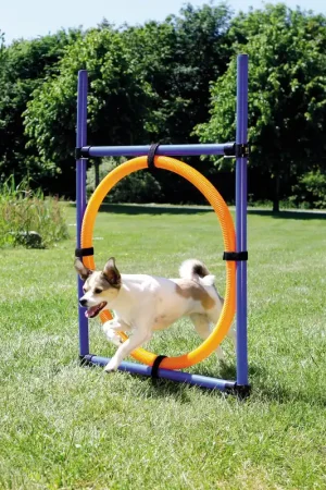 TRIXIE Dog Activity Agility Ring Betrouwbaar