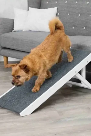 Laatste Versie TRIXIE loopplank MDF