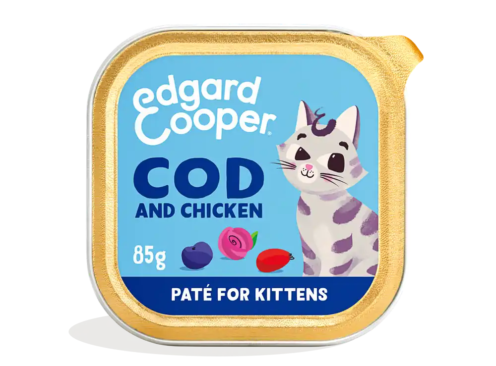 Shop Nu Edgard & Cooper kattenvoer Kitten MSC Kabeljauw & Kip Paté 85 gr