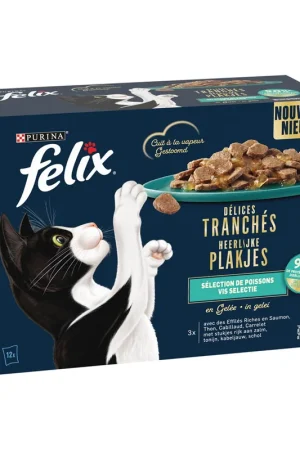 Laatste Versie Felix Kattenvoer Heerlijke Plakjes Vis Selectie 12 x 80 gr