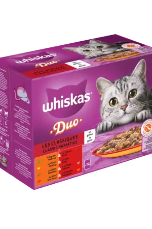 Whiskas Kattenvoer Adult Classic Selectie in Gelei 12 x 85 gr Rechtstreeks Van De Fabrikant