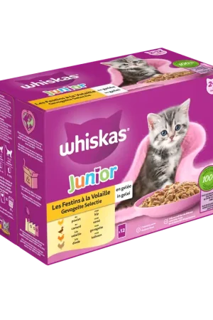Whiskas Kattenvoer Junior Gevogelte Selectie in Gelei 12 x 85 gr Betrouwbaar