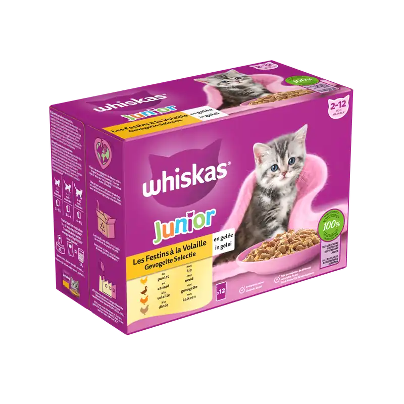 Whiskas Kattenvoer Junior Gevogelte Selectie in Gelei 12 x 85 gr Betrouwbaar