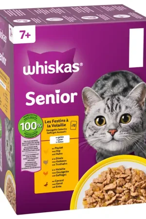 Laatste Kans Whiskas Kattenvoer Senior 7+ Gevogelte Gelei 12 x 85 gr
