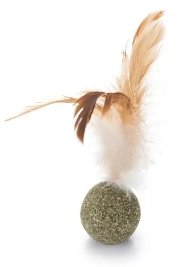 Express Levering Beeztees Catnip Bal met Veren