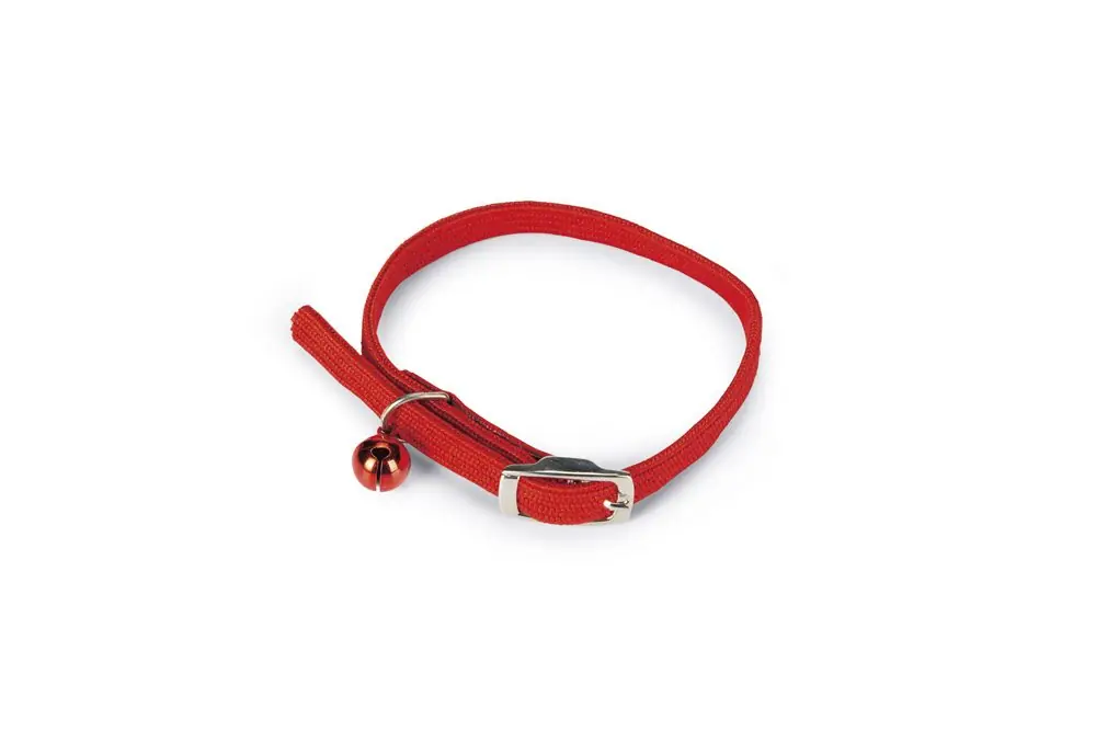Beeztees Kattenhalsband Shop Nu