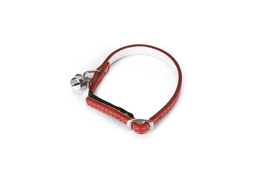 Beeztees Kattenhalsband met Bel Gecertificeerd