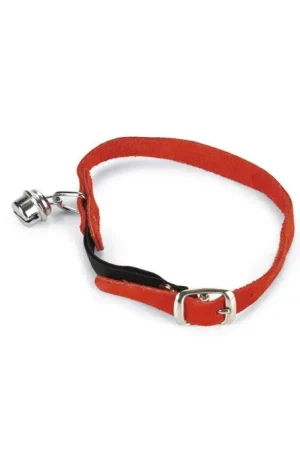 Beeztees Kattenhalsband Suède Laatste Versie